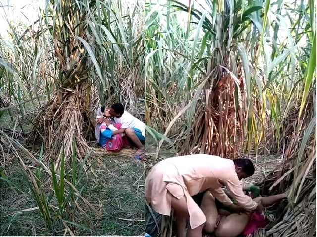 Indian village bhabhi outdoor fucking